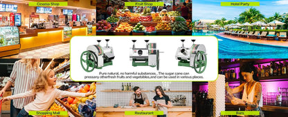 Manual Sugar Cane Juicer Machine Stainless